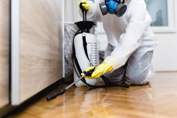 Best Residential Pest Control  in Bountiful, UT