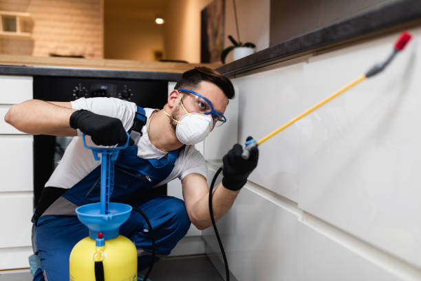 Best Affordable Pest Control Services  in Bountiful, UT