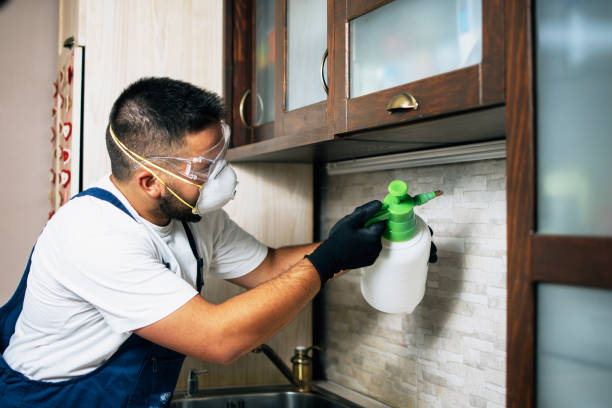 Best Pest Removal Services  in Bountiful, UT