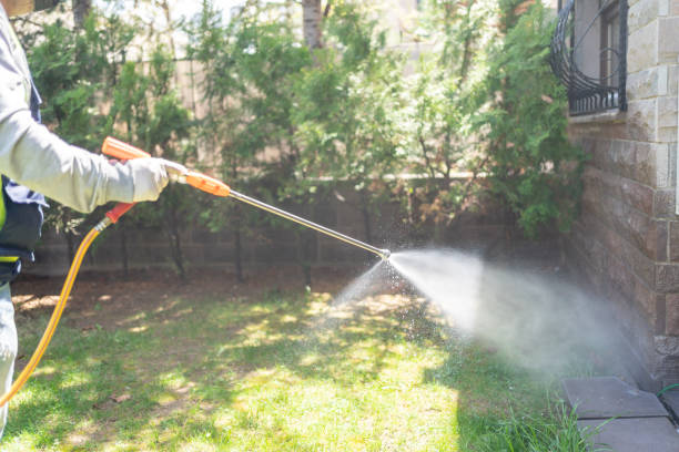 Reliable Bountiful, UT Pest Control Solutions