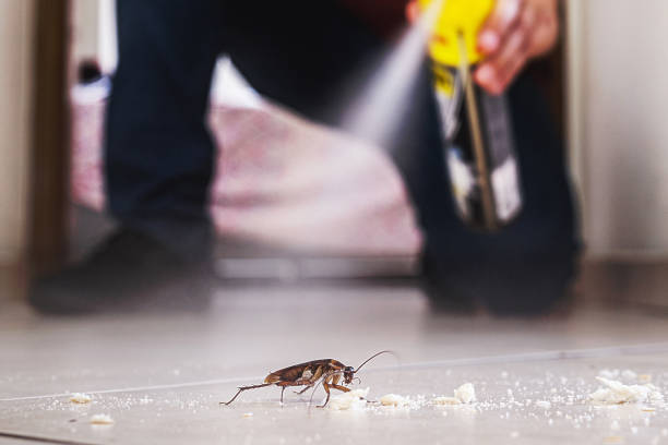 Best Pest Control Near Me  in Bountiful, UT